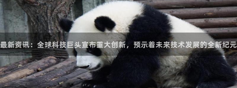 纵横国际手机端app：最新资讯：全球科技巨头宣布重大创新，预示着未来技术发展的全新纪元