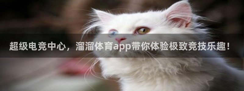 穿越者纵横动漫世界：超级电竞中心，溜溜体育app带你体验极致竞技乐趣！